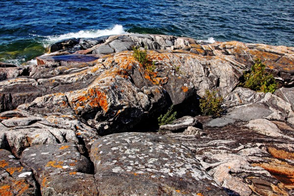 Wreck Island Shore IV by Deb Oppermann
